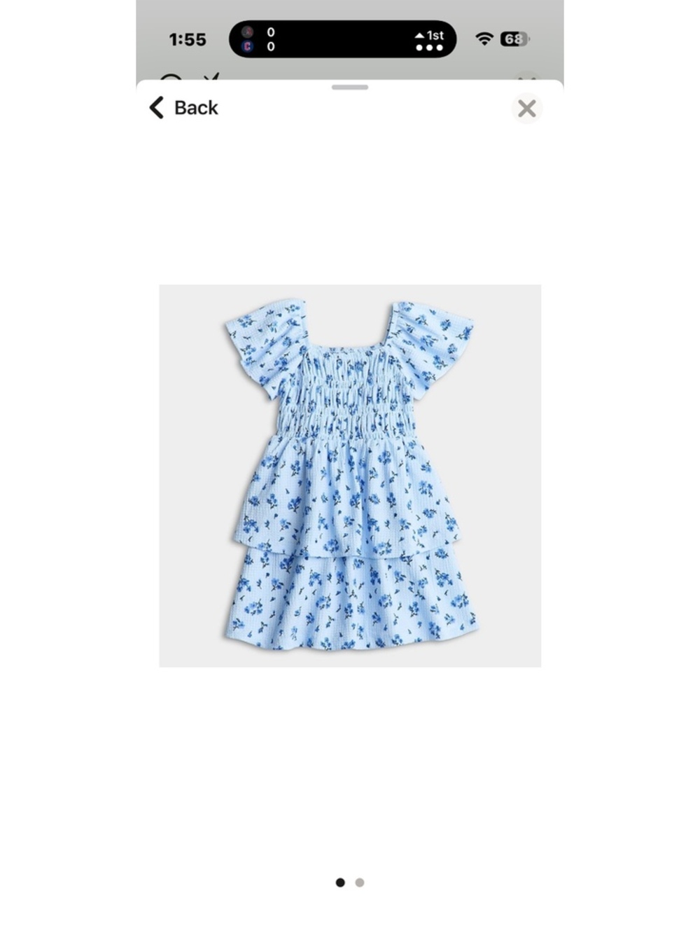 Jumping Beans Blue Floral Smocked Dress for Toddler Girls, Size 2T